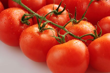 Macro of red ripe tomatoes on vineの写真素材