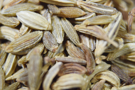 Extreme closeup (macro) of organic fennel seeds - isolatedの写真素材
