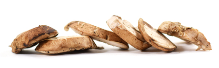 Row of sliced organic crimini or baby bella mushrooms - isolated