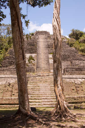 The High Temple in the ancient Mayan city of Lamanai in Belize, Central Americaの写真素材