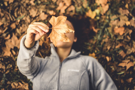 A young woman in a gray jacket holds a yellow leaf in her hands. The concept of autumn and nature.の写真素材