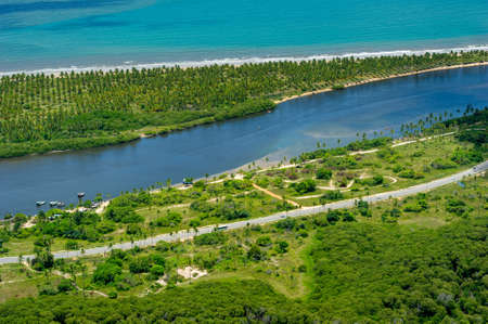 Paiva beach and ecological reserve, with emphasis on the highway route of the coconut trees, near Recife, Pernambuco, Brazil.のeditorial素材