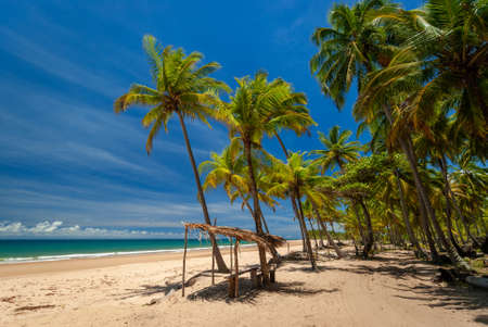 Taipu de Fora Beach, Penisula de Marau, Bahia, Brazil.のeditorial素材