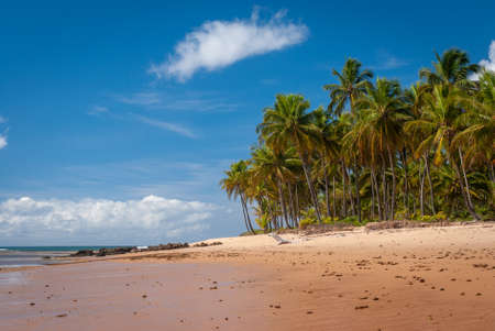 Sunny day at TaipÃº de Fora Beach, Penisula de Marau, BA, Brazilのeditorial素材