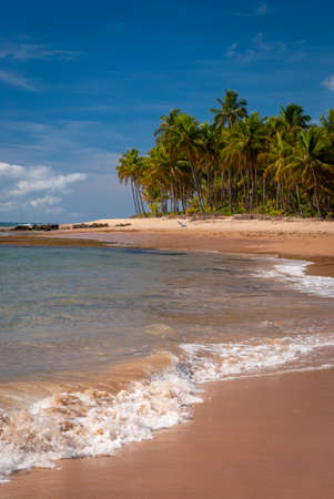 Sunny day at TaipÃº de Fora Beach, Penisula de Marau, BA, Brazilのeditorial素材