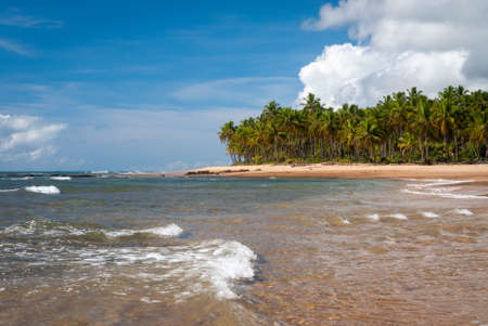 Sunny day at TaipÃº de Fora Beach, Penisula de Marau, BA, Brazilのeditorial素材