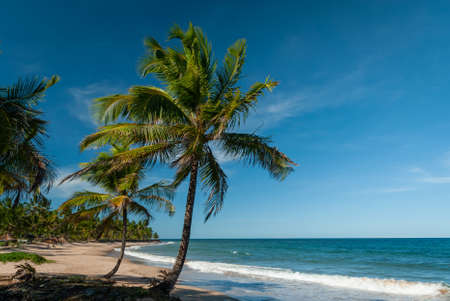 Sunny day at TaipÃº de Fora Beach, Penisula de Marau, BA, Brazilのeditorial素材