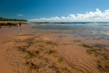 Sunny day at TaipÃº de Fora Beach, Penisula de Marau, BA, Brazilのeditorial素材
