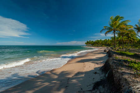 Sunny day at TaipÃº de Fora Beach, Penisula de Marau, BA, Brazilのeditorial素材