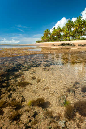 Sunny day at TaipÃº de Fora Beach, Penisula de Marau, BA, Brazilのeditorial素材