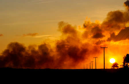Electrifying posts with orange sunset sky background.の写真素材