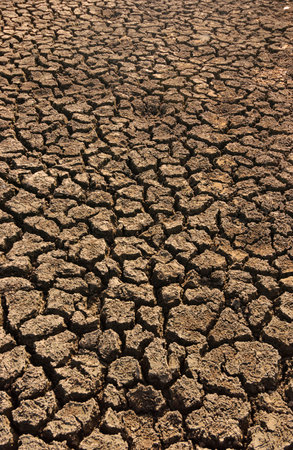 Dry and cracked ground caused by drought in Paraiba, Brazil. Climate change and water crisis.の写真素材