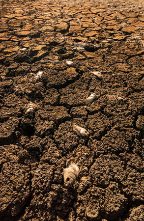 Dry and cracked ground caused by drought in Paraiba, Brazil. Climate change and water crisis.の写真素材