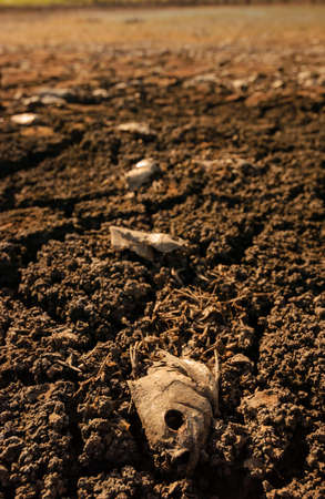 Dry and cracked ground caused by drought in Paraiba, Brazil. Climate change and water crisis.の写真素材