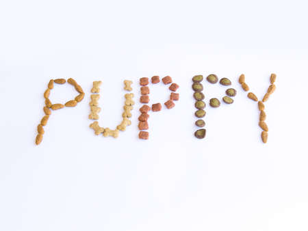 Dog Food Spelling Out the Word Puppyの写真素材