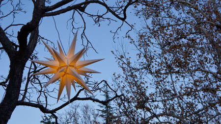 A decorative star lantern hanging outside in the trees on a dusky evening.の写真素材