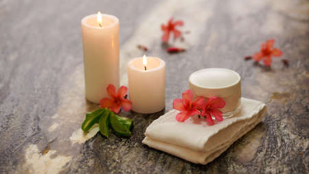 Spa Aloe Vera Sceneの写真素材