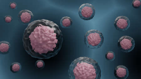 3D illustration of a microscopic view of many stem cells which shows the nucleus and membrane of the cell.の写真素材