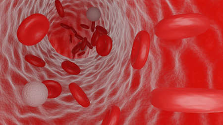 3D rendering of red and white blood cells flowing through a vein.の写真素材