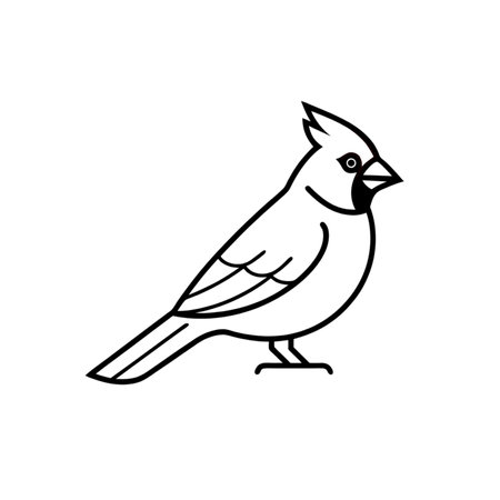 A minimalistic black outline illustration of a cardinal bird on a white background. Simple line art, ideal for coloring pages or creative projects, capturing the shapeの写真素材
