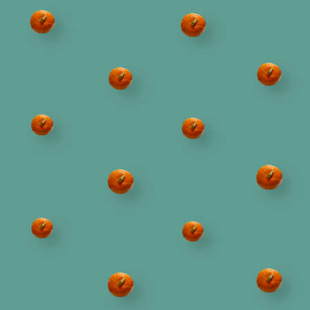 Colorful fruit pattern of fresh pumpkins on green background. Top view. Flat lay. Pop art designの写真素材