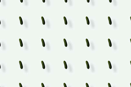 Colorful pattern of fresh cucumbers on white background with shadows. Top view. Flat lay. Pop art designの写真素材