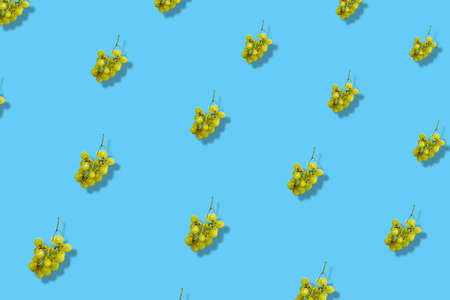 Colorful fruit pattern of fresh grapes on blue background with shadows. Top view. Flat lay. Pop art designの写真素材