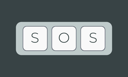 Computer keyboard key with key sos. Keyboard keys icon buttonのイラスト素材