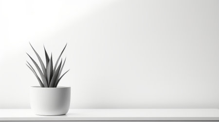 A potted plant on a white shelfの素材