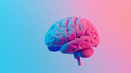 Pink and Blue Human Brain Image, Anatomy, Science, Health, Research, Knowledge, Cerebral, Intelligence, Nervousの素材