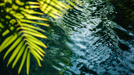Close-Up of a Dew-Covered Leaf With Water in the Backgroundの素材