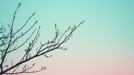 Bare tree branch against pastel gradient sky, minimalistic nature sceneの素材