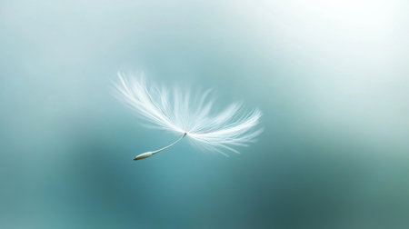 Dandelion seed floating in the air, ethereal tranquility. Nature and serenity conceptの素材