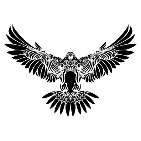 falcon,eagle,hawk,black,white,tattoo,details,bird,wingのイラスト素材