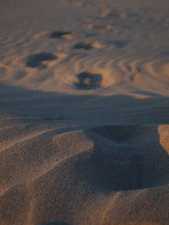 Footsteps in Rippled Sand in Sunset Lightの写真素材