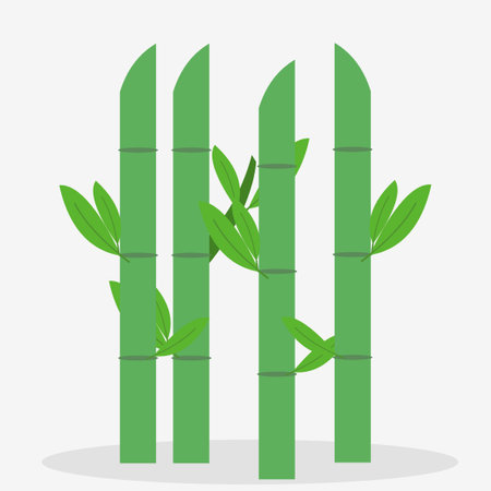 Green bamboo icon. Nature plant and botany theme. Colorful design. Vector illustrationのイラスト素材