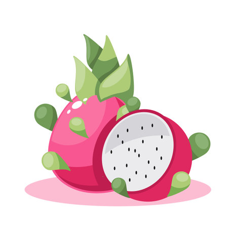 Pitaya fruit isolated on white background. Vector cartoon illustration.のイラスト素材