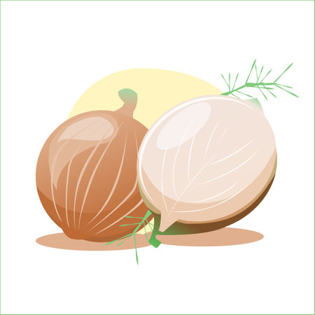 Onion and dill on a white background. Vector illustration.のイラスト素材