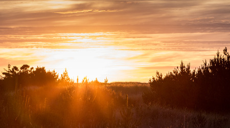Smoke from forest fires enhance the rays from an orange sunset over a beachhead on Washington State's coastlineの写真素材