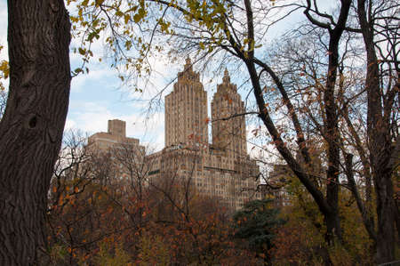 Photo shot from inside Central Park in New Yorkのeditorial素材