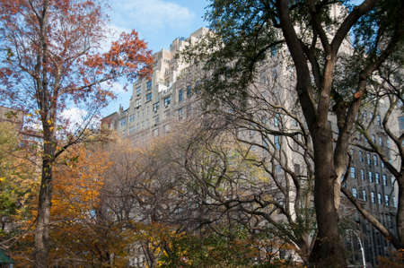 Photo shot from inside Central Park in New Yorkのeditorial素材