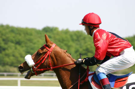 horse racingの写真素材