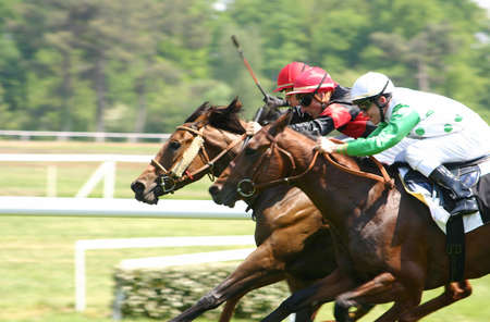 Horse racing Horse racing