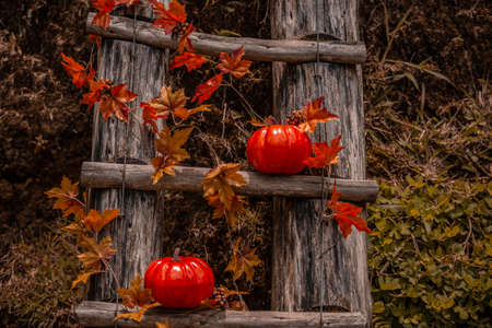 halloween pumpkin decorations fall autum party