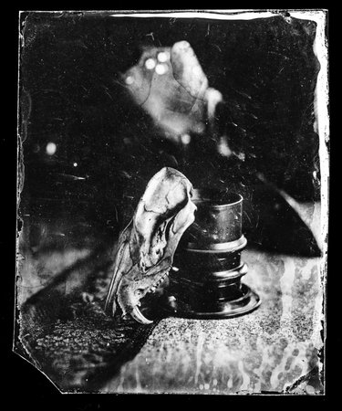wet plate collodion vintage image of hisotrical process of photography texture vanitas memento moriの写真素材