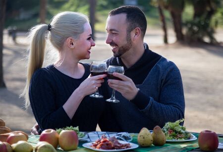 Loving young couple drinking wine on picnicの写真素材