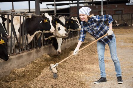 Cheerful cowgirl worker working with milking herd at cowhouse in farmの写真素材