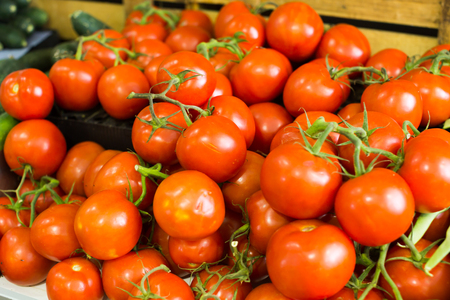 red tomatoes on a branch on the counterの写真素材