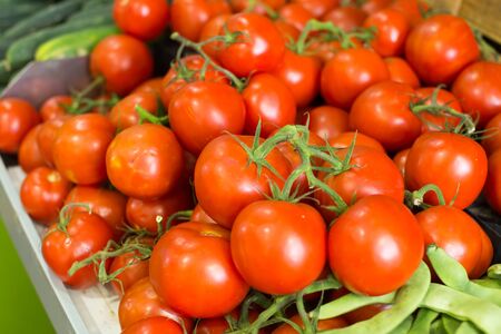 red fresh tomatoes on a branch on the counterの写真素材