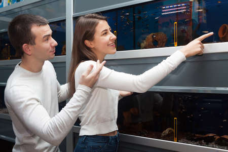 Portrait of young couple watching tropical fish in petshopの写真素材